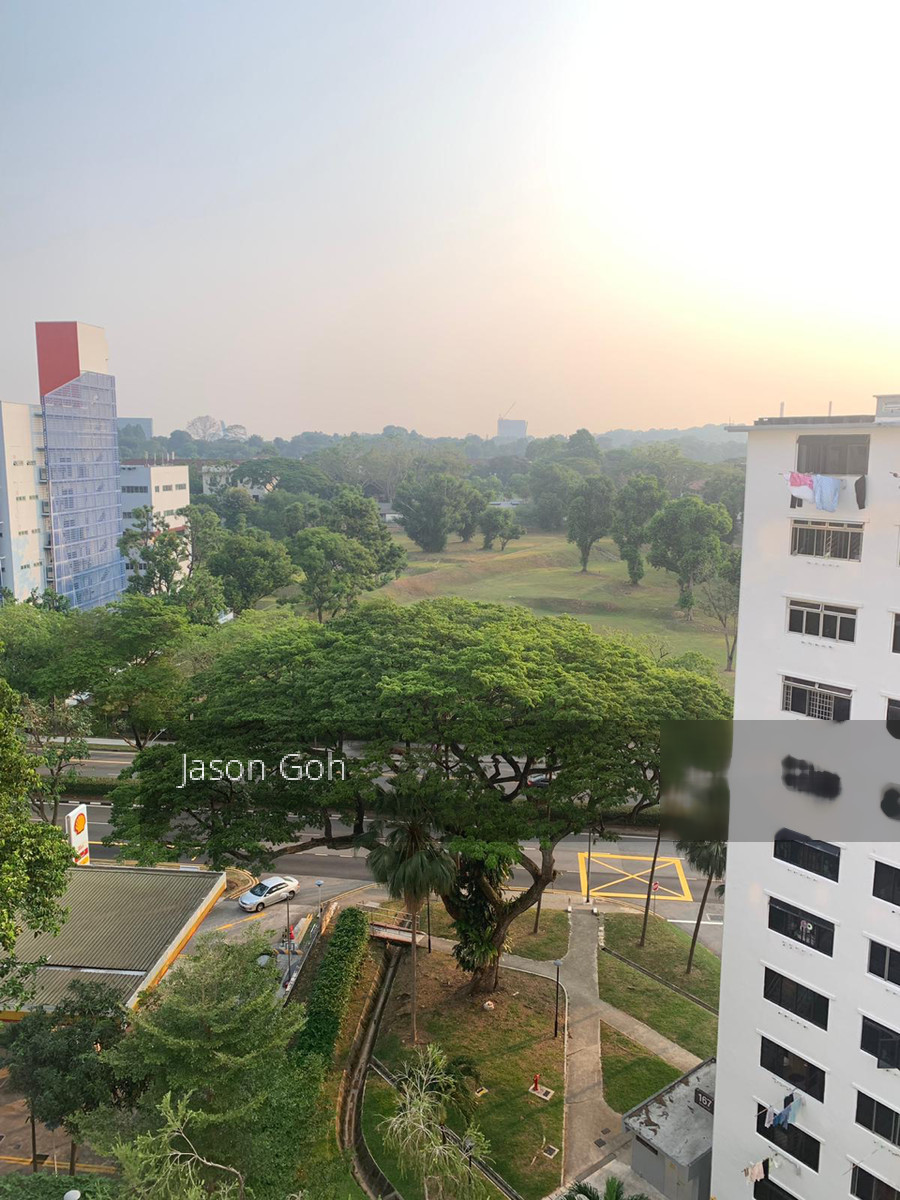 Blk 168 Stirling Road (Queenstown), HDB 3 Rooms #209466061